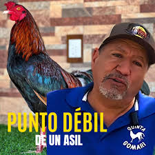 Los prietos de Spring Grove