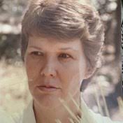 Remembering Georgia Southern University