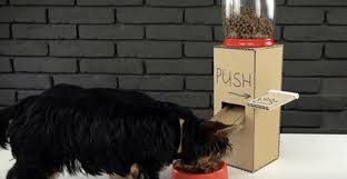 We did not find results for: Man Builds A Diy Dog Food Dispenser Out Of Cardboard Cesar S Way