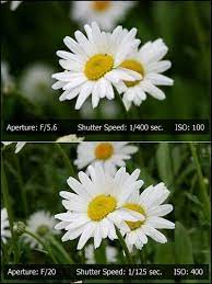 How To Get A Blurred Background Effect When Taking Portrait Photos With A Canon Dslr Blur Background Photography Blurred Background Learn Photography Nikon