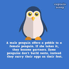 Let's get started with our cool animal facts below. 15 Amazing Facts You Never Know About Animals Reckon Talk