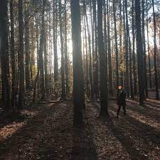 Free concerts and movies offered during the summer at the amphitheatre. Apex Nature Park Disc Golf Course 2600 Evans
