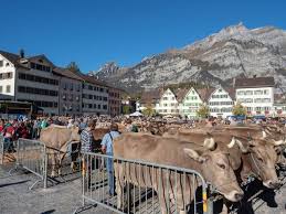 Auf immobilien.net finden sie hochwertige wohnungen, einfamilienhäuser, penthäuser, dachgeschosswohnungen, liegenschaften. Immobilien In Glarus Stadtfuhrer Lookmove Ch