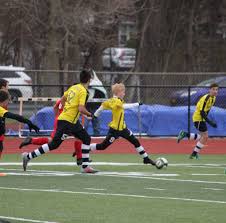 Albany Alleycats