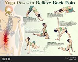 Top yoga poses that can help ease gas pain 1. Yoga Poses Relieve Vector Photo Free Trial Bigstock