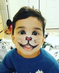 Cat In The Hat Makeup For Boys Cat Halloween Makeup Cat Costume Kids Kids Costumes Boys