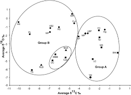 See more ideas about american southwest, southwest, national parks. Paleoecology D13c And D18o Stable Isotopes Analysis Of A Mammalian Assemblage From The Late Pleistocene Of Hidalgo Central Mexico And Implications For A Better Understanding Of Environmental Conditions In Temperate North America