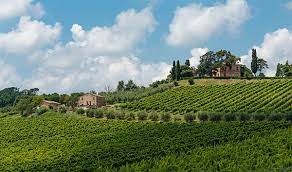 Harris Funeral Home Incorporated Gonzales Texas