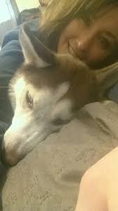 Happy to have my pup back home safe