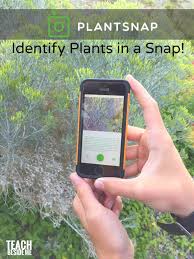 How To Identify Plants On A Nature Walk Teach Beside Me While google's image search tool has been there for a while, lets put it into an interesting use. how to identify plants on a nature walk