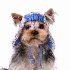 Trapper Hat For Dogs Aviator Hat For Dog Dog Ear Cap Winter Etsy Dog Hat Puppy Hats Dog Sweaters