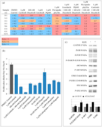 848 nandino blvd suite k lexington, ky 40511 phone: Cancers Free Full Text Safety And Activity Of The Combination Of Ceritinib And Dasatinib In Osteosarcoma Html