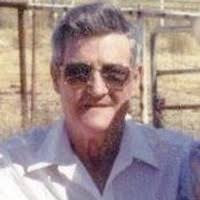 Obituary information for A.L. 'Leon' Levins