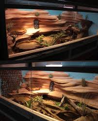 My Terrarium By Mietschie Beardeddragonpet Bearded Dragon Habitat Bearded Dragon Terrarium Diy Bearded Dragon