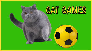 Cute piggy for your design. Cat Games Colorful Soccer Balls Rolling Across Screen Great Game Fun Video For Cats Kittens Youtube