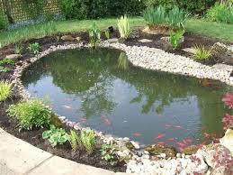 Home Landscaping Design Ideas Liftupthyneighbor Com Pond Landscaping Ponds Backyard Backyard Water Feature