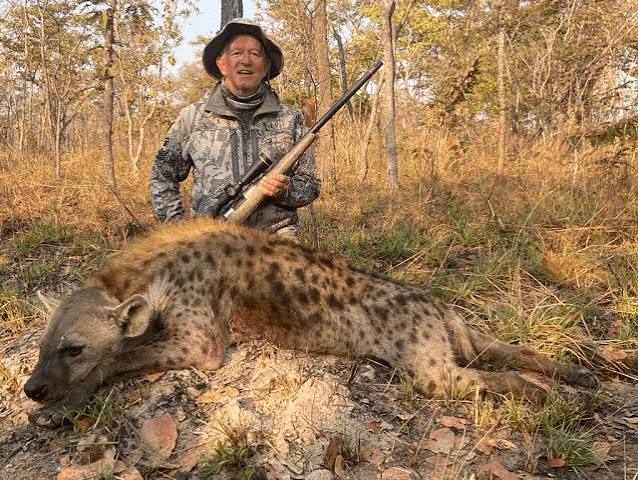 Hunting hyena in Africa | DSC Northeast