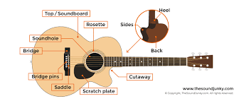 Maybe you would like to learn more about one of these? Guitar Anatomy 101 Parts Of A Guitar Strings Labeled Fret Numbering