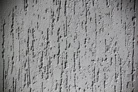 Короїд Дощик