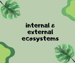 Which one do you relate to more, internal or external wellness?