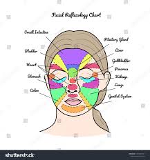 cogent reflexology of the face chart reflexology