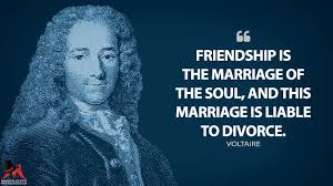 Friendship Is The Marriage Of The Soul And This Marriage Is Liable To Divorce Magicalquote Divorce Book Quotes Friendship