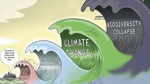 He warned that people who invest in crypto should be a skeptic of crypto, bailey was asked at a press conference about the rising value of cryptocurrencies. Are Banks Funding Our Extinction Chris Skinner S Blog