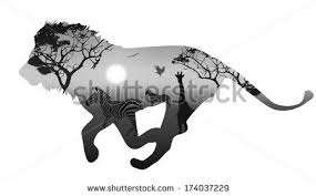 Silhouette Running Lion Inside Savannah Landscape With Silhouettes Of Animals And Trees At Sunset Black And Animal Silhouette Lion Silhouette African Animals