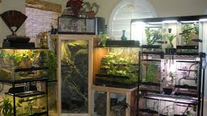 Pin On Pets Herps