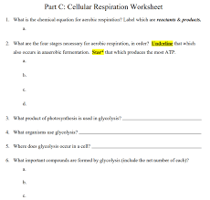 Apr 12, 2020 · the word equation for cellular respiration is glucose (sugar) + oxygen = carbon dioxide + water + energy (as atp). Part C Cellular Respiration Worksheet 1 What Is The Chegg Com