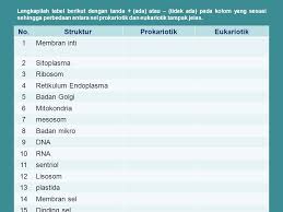 Maybe you would like to learn more about one of these? Tabel 12 Perbedaan Antara Sel Tumbuhan Dan Sel Hewan Terkait Perbedaan