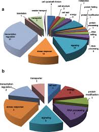 Image result for Suaeda sp. B