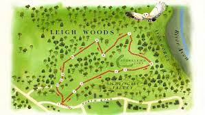 Feb 26, 2012 · damn you, leigh barduga. Leigh Woods Woodland Wander National Trust