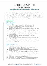 Junior Java Developer Resume Samples | Qwikresume