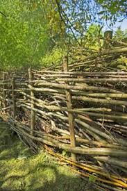 Benjeshecke Lebensraum Fur Tiere Naturzaun Garten Und Naturnaher Garten