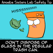 You have been assigned safety rule number _ printed on the flinn scientifcs student 2. The Amoeba Sisters Lab Safety Rules Lab Safety Lab Safety Poster