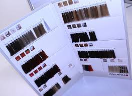 Goldwell Color Chart Diigo Groups