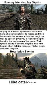 Just Have Fun Skyrim Skyrim Funny Skyrim Memes