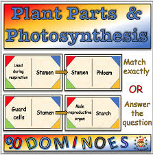 Pin On Plants For Middle School Science
