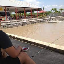 Memancing adalah hobby sebagian orang. Photos At Tjiu Palace Fishing Pond Samarinda East Borneo