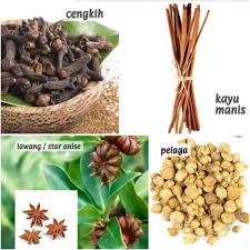 Ia merupakan satu pokok malar hijau tropika yang berasal dari indonesia. Buy Pokok Bunga Lawang Star Anise Cengkih Kayu Manis Cinnamon Pelaga Cardamon Rempah Sekawan Herb Real Plant Seetracker Malaysia