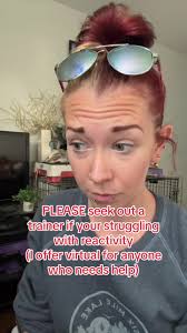 #stitch with @Blair Clark-Schoeb #reactivity #petcorrector #dog #smalldogs  #doglover #dogowner #dogs #dogtrainer #virtualdogtraining #dogsofttiktok  #toronto #reactivedog #reactivitytraining