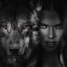 Spence: discos, canciones y conciertos