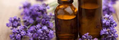 9 Bonnes Raisons De Preparer Votre Vinaigre De Lavande Huile Essentielle De Camomille Huile Essentielle Lavande Huile Essentielle Eucalyptus