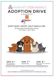 Dog Adoption Poster Kochi Kerala Kochionflea K Savealifeposter Pet Adoption Adoption Day Adoption