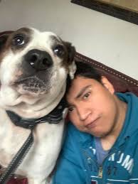 Is this lost dog roaming Elmwood and 35th?