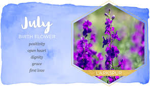 July Birth Flower Larkspur Ftd Com In 2020 July Birth Flower Birth Month Flowers Birth Flowers