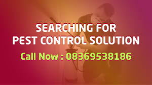 Browse recommended jobs for you. Best Termite Pest Control Service Provider In Ranchi Mumbai Delhi Kolkata Orissa Patna Twitbit