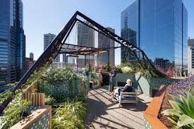 Gallery Of Phoenix Rooftop Garden By Bent Architecture Local Australian Architecture Design Melbourne Vic Image 1 Rooftop Design Architecture Green Roof