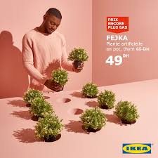 Ikea Les Plantes D Appartement Sont Un Element De Facebook